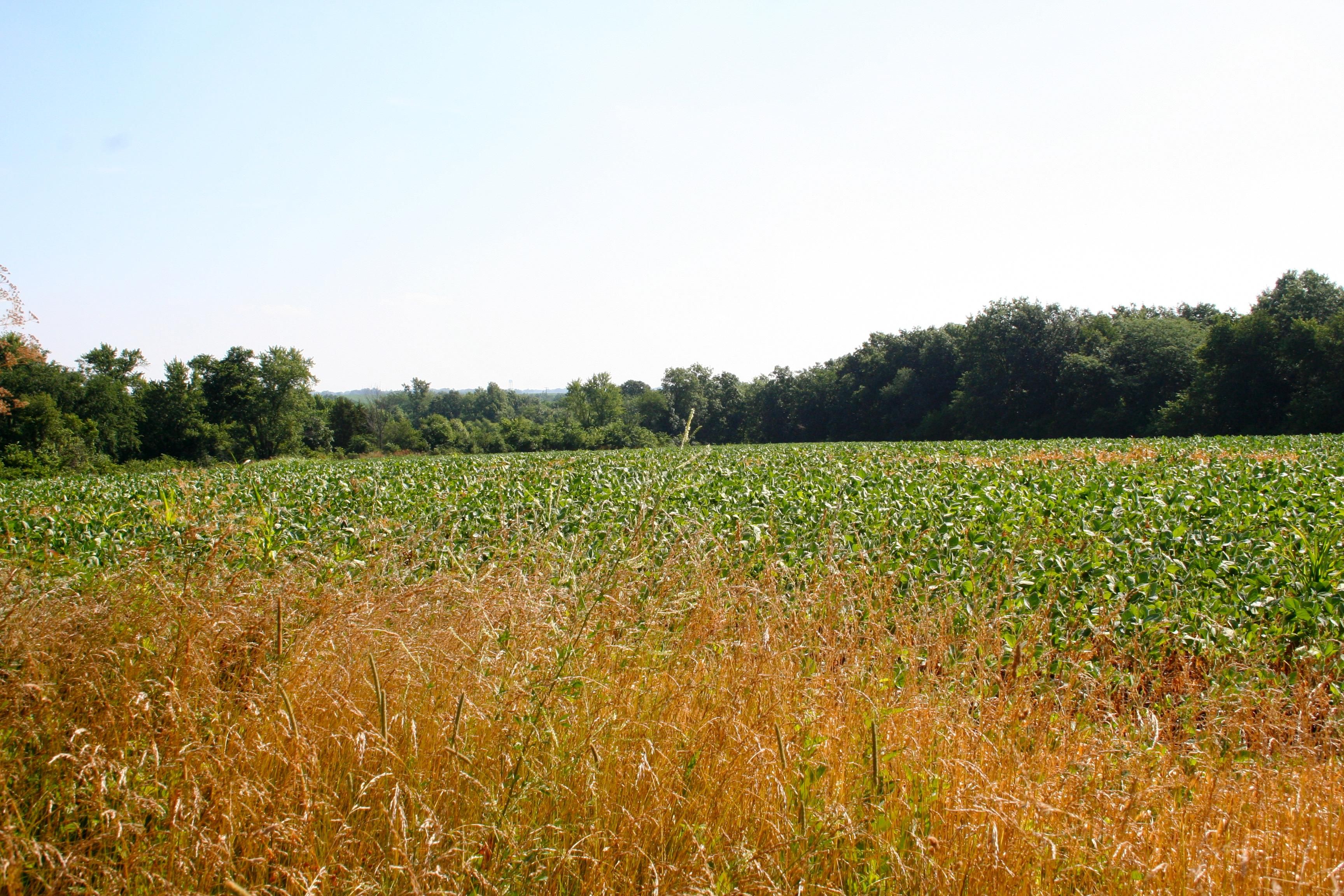 20 acres in Knox County, Missouri