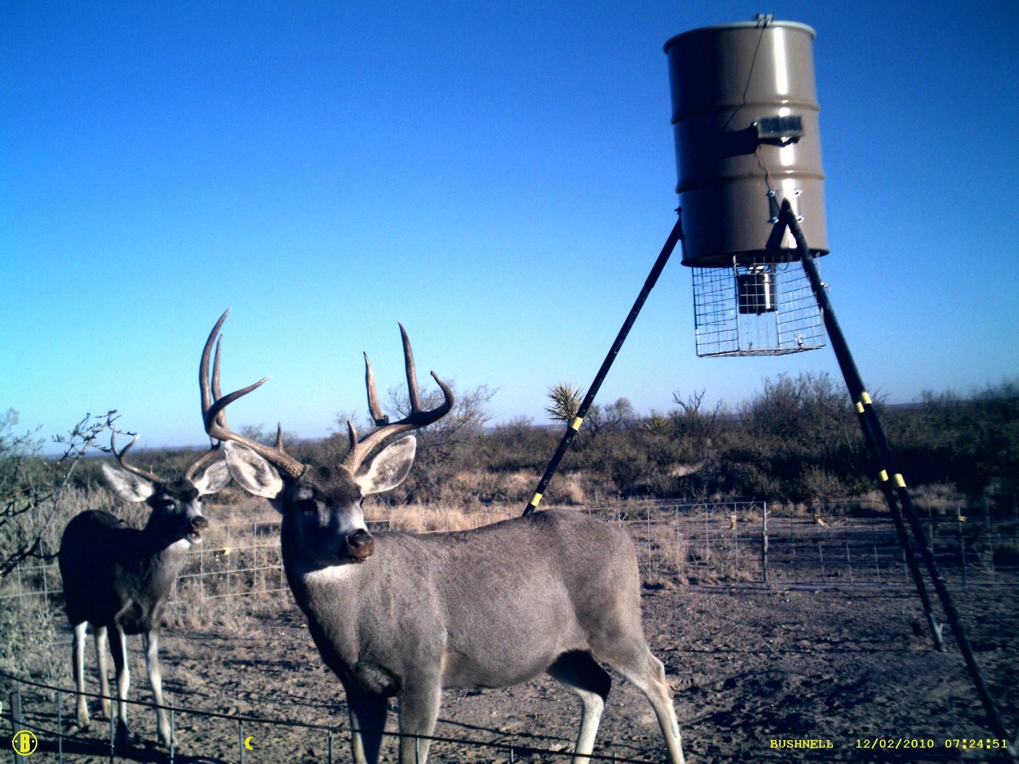 160 acres in Upton County, Texas