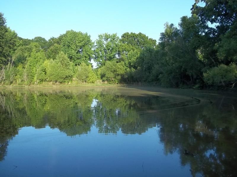 40 acres in Tate County, Mississippi