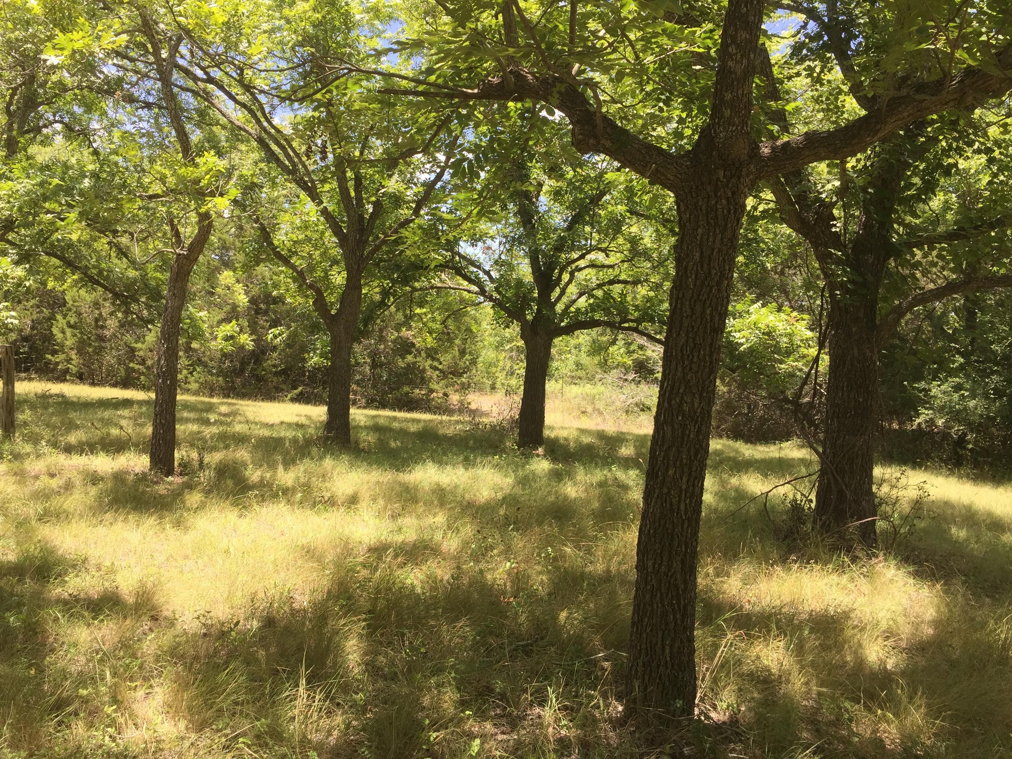 Chandler St, Blanco, TX 78606 MLS 201963