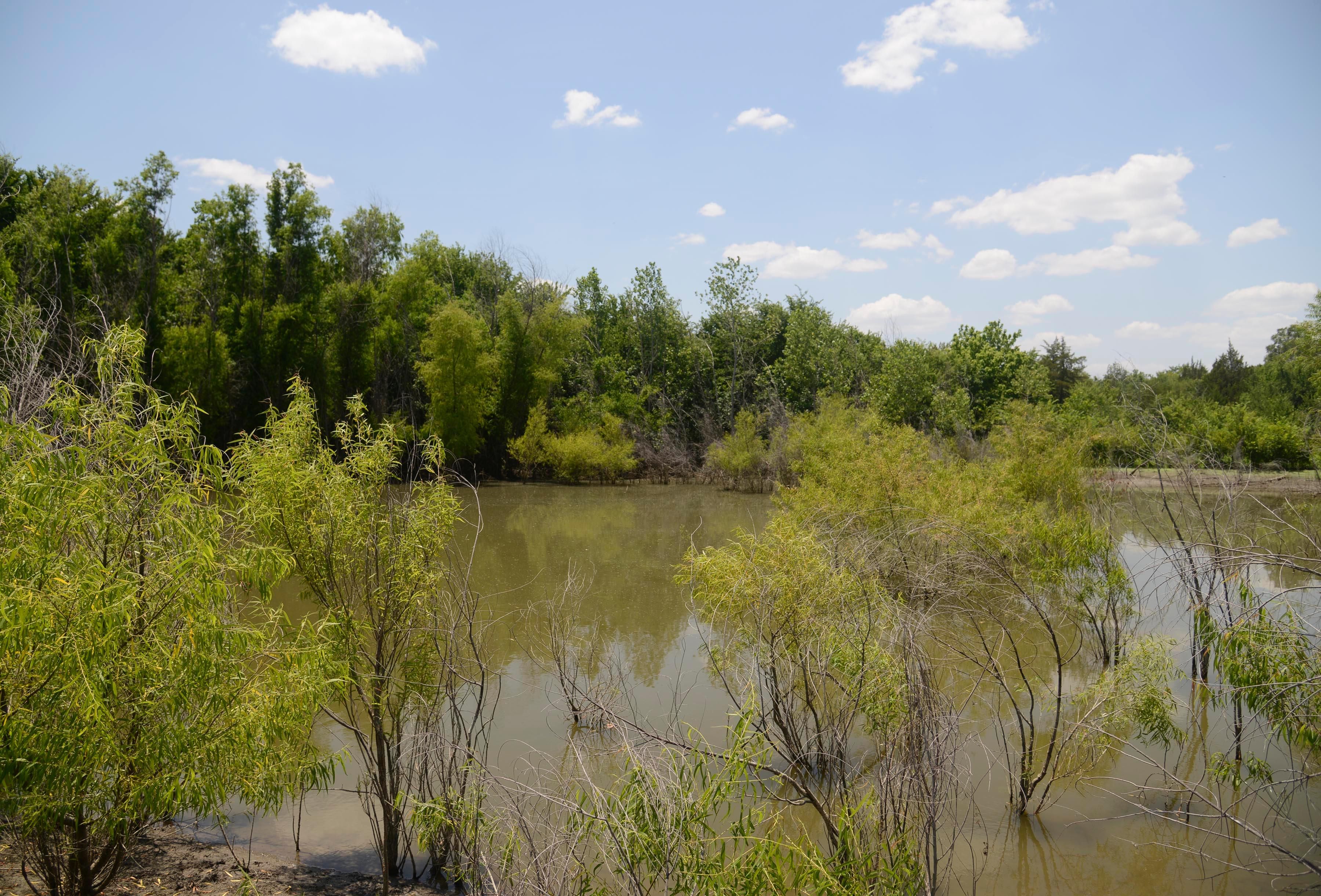 29 acres in Collin County, Texas