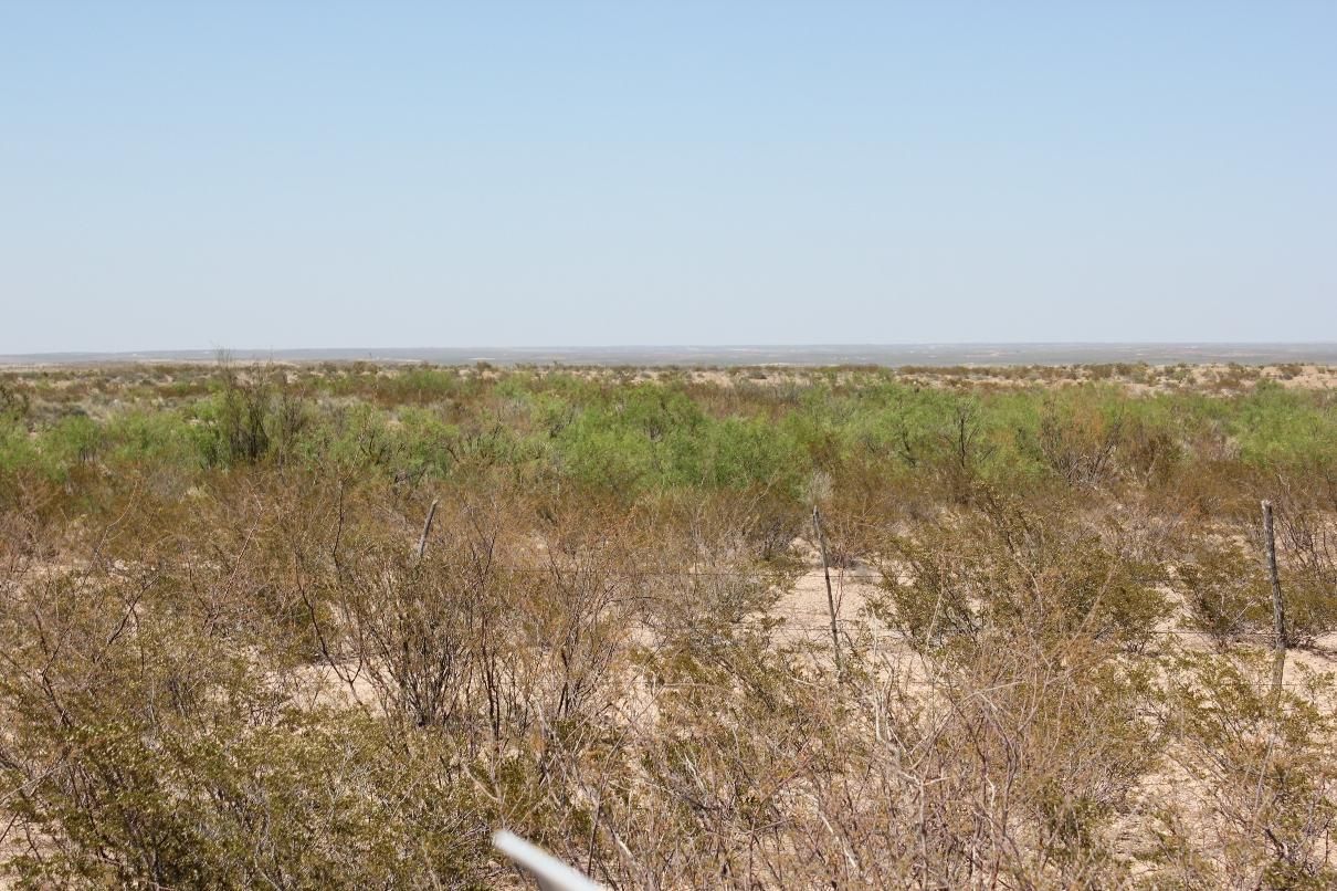 156 acres in Reeves County, Texas