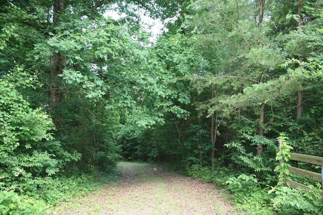 Lane Springs / Riverton Rose Trail, Cherokee, AL 35616