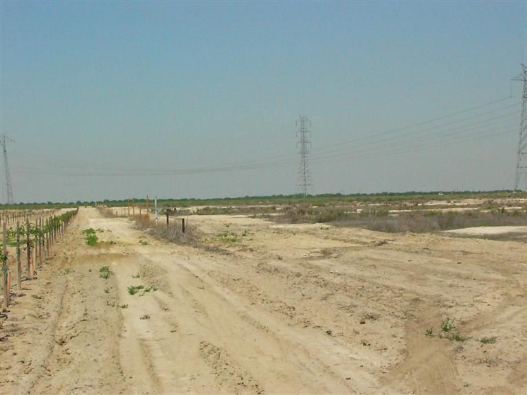 20 acres in Kern County, California