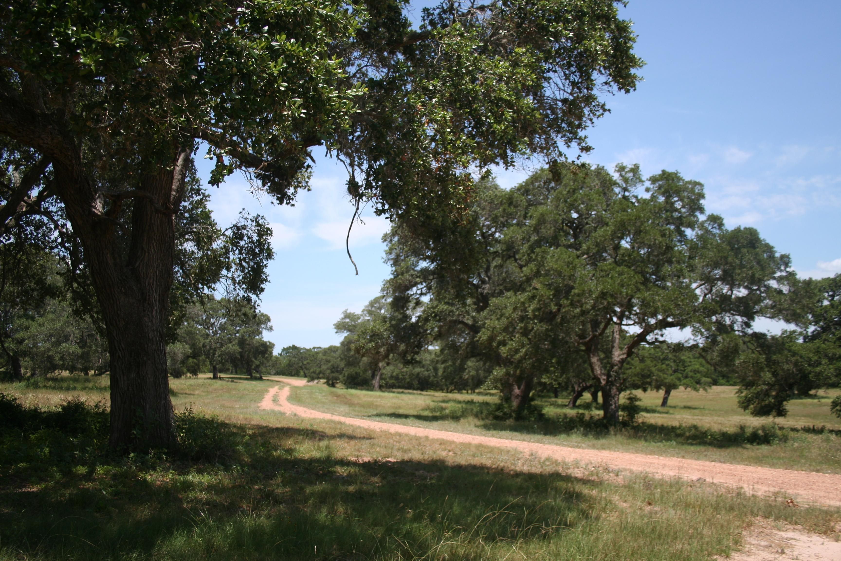 700 acres in Lavaca County, Texas