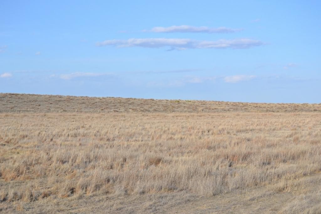 240 acres in Morrill County, Nebraska