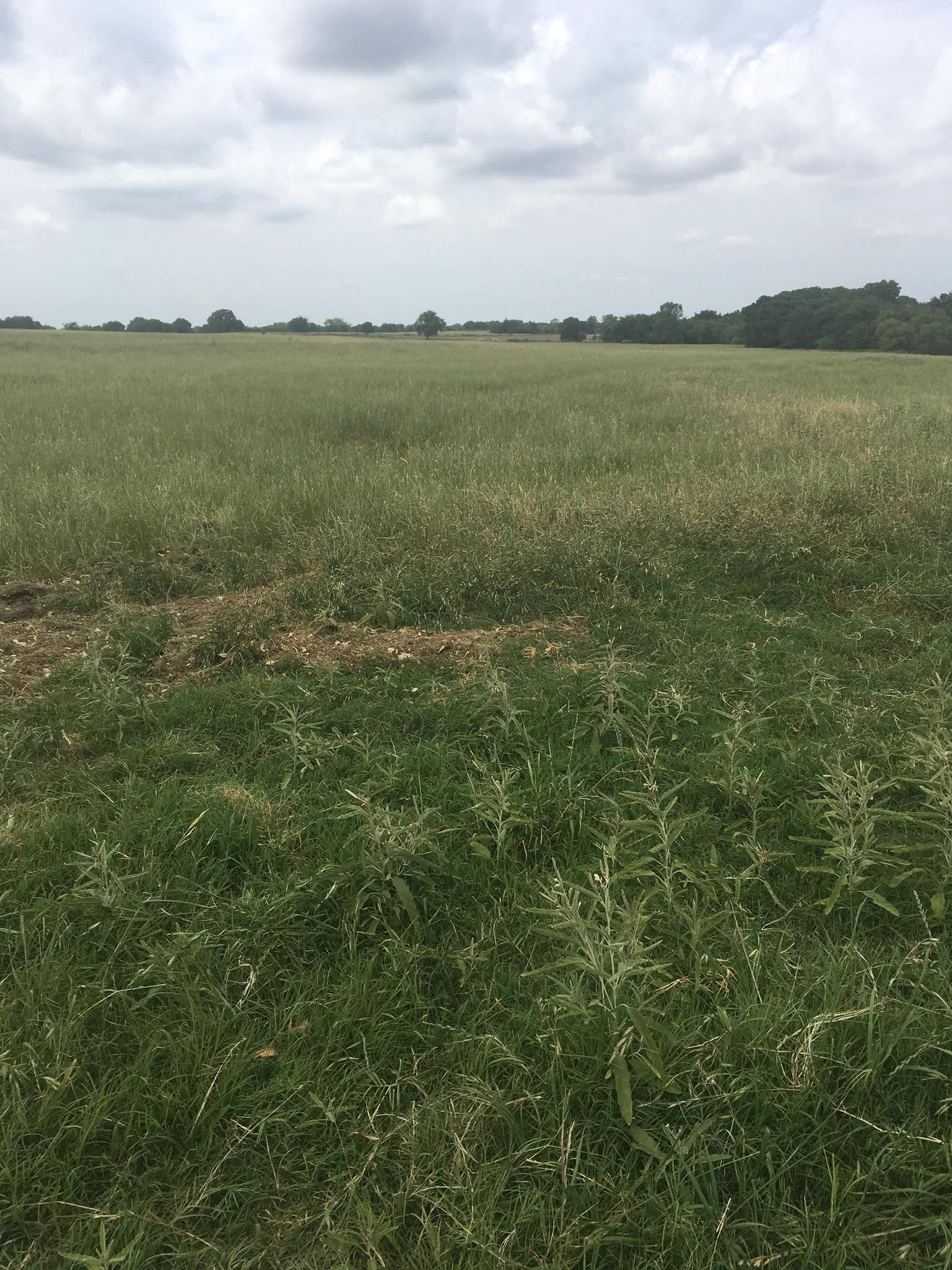 132 acres in Wise County, Texas