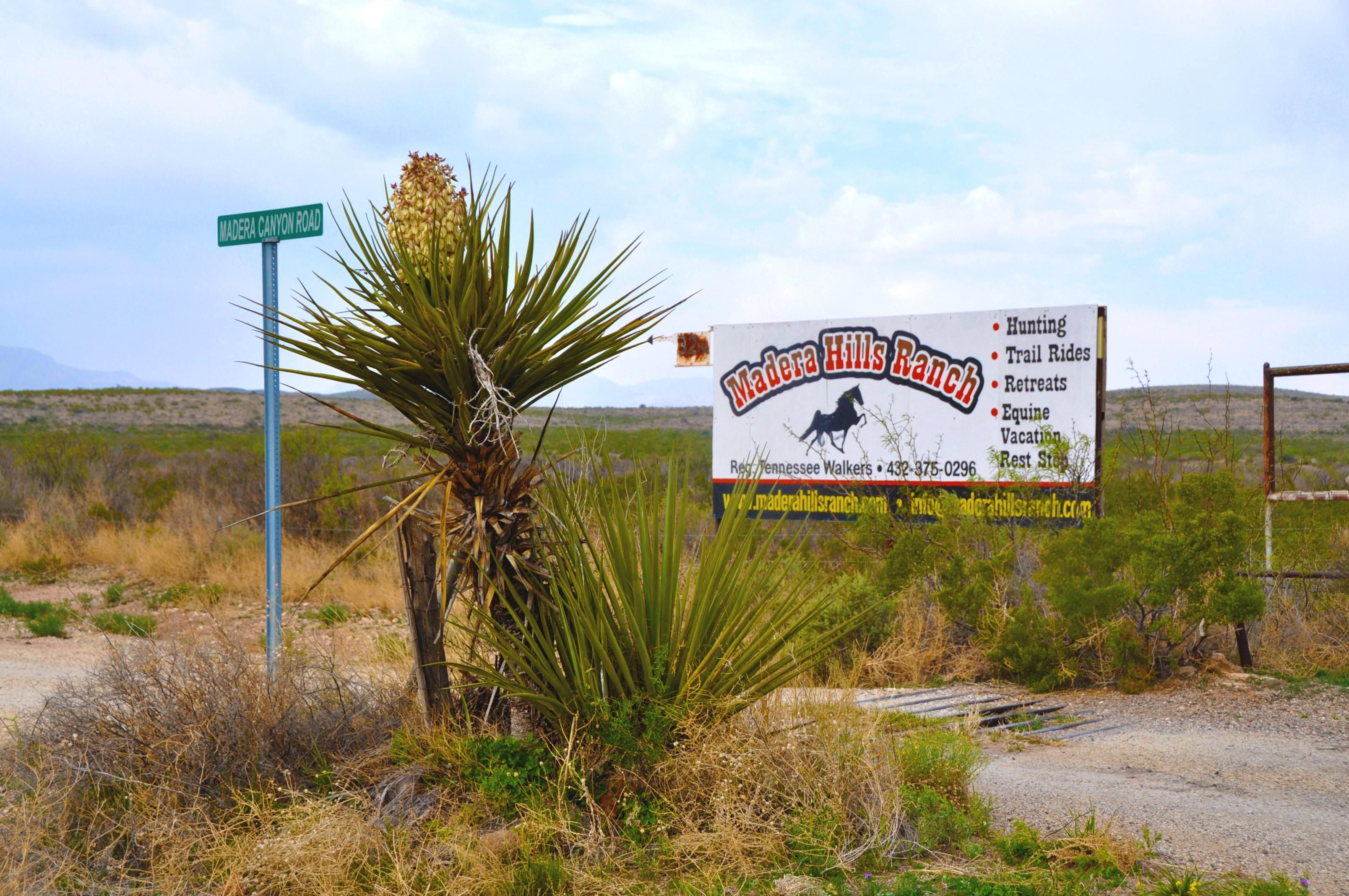 163.5 acres in Jeff Davis County, Texas