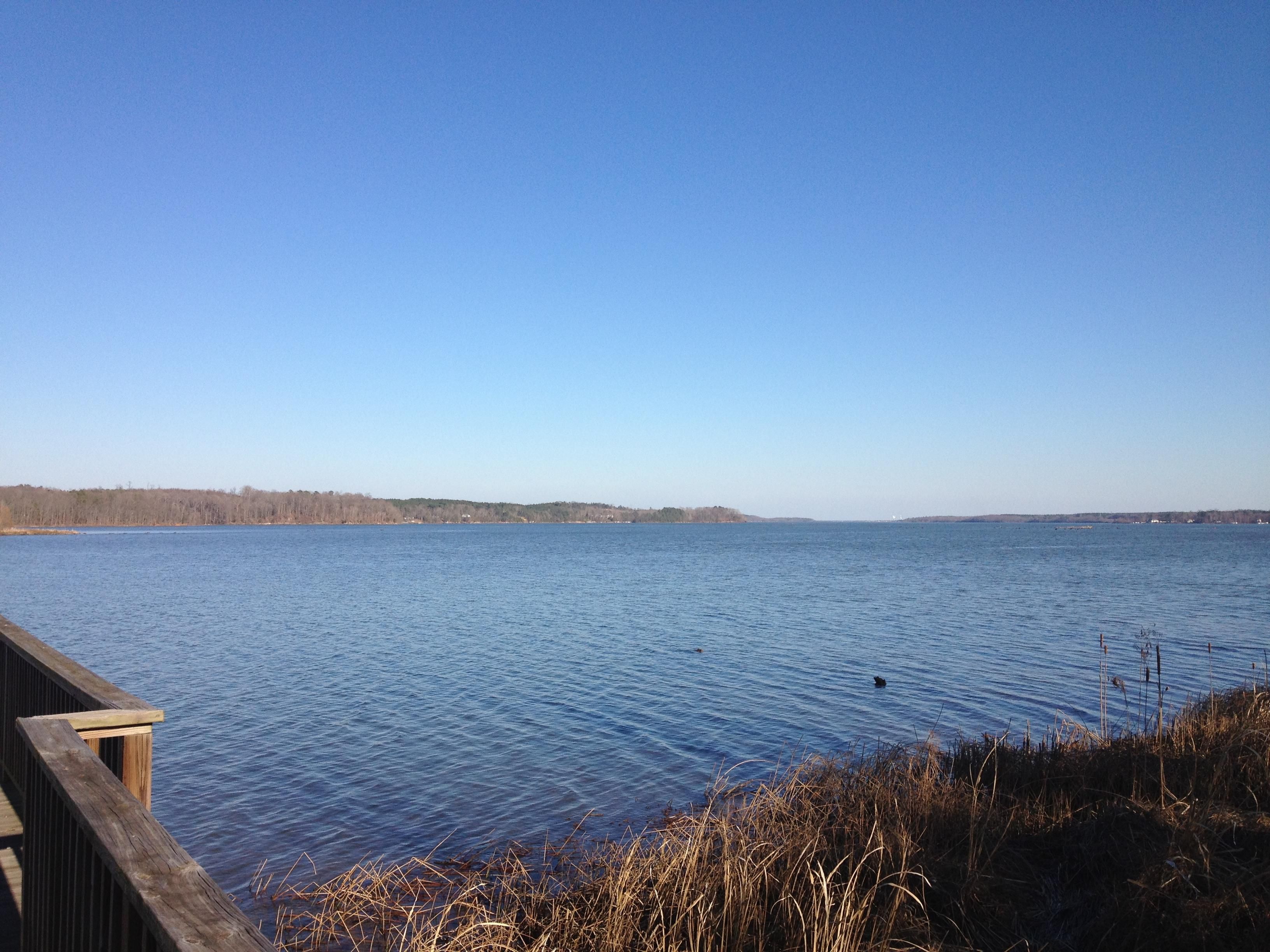 67 acres in Halifax County, North Carolina