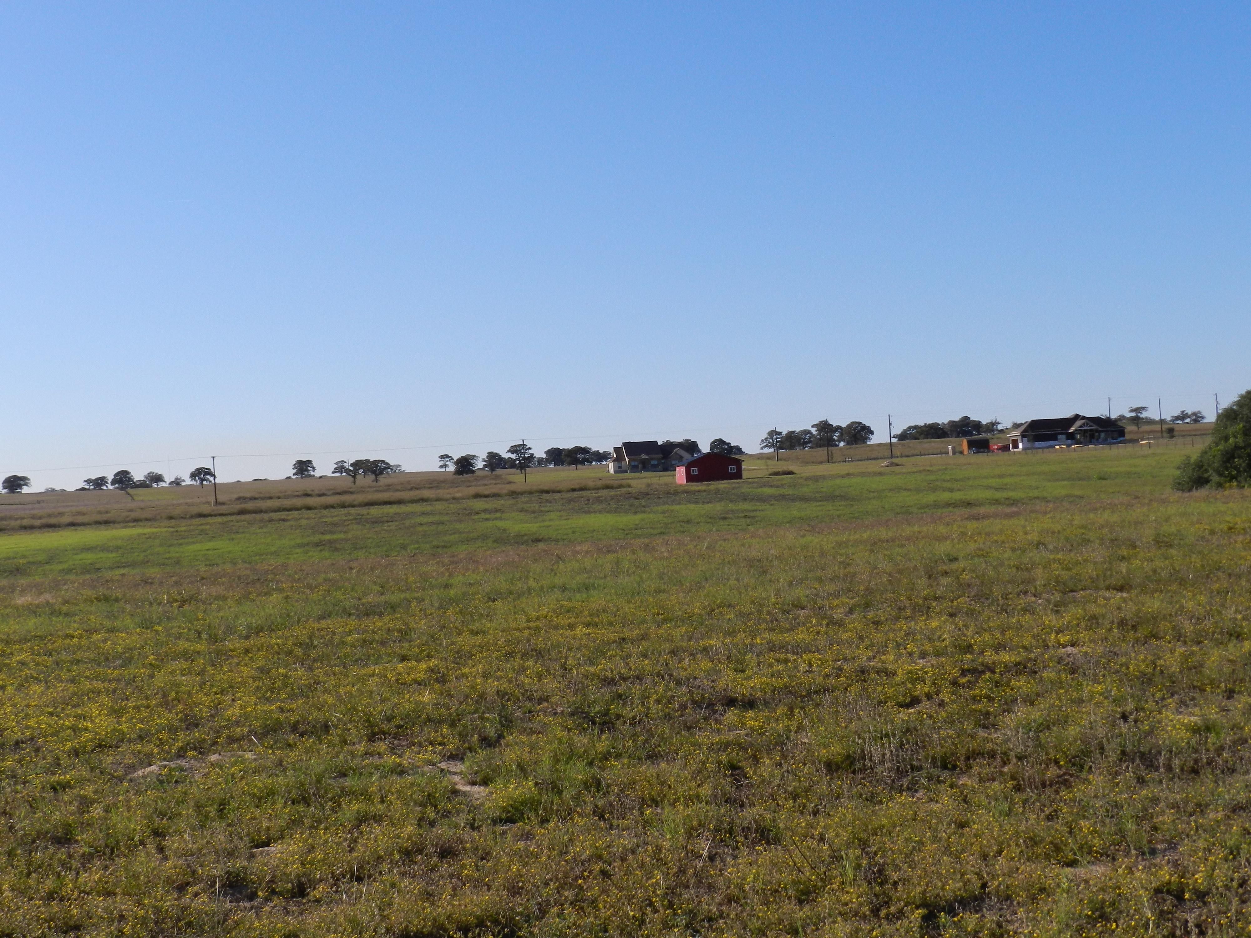 19.82 acres in Wilson County, Texas