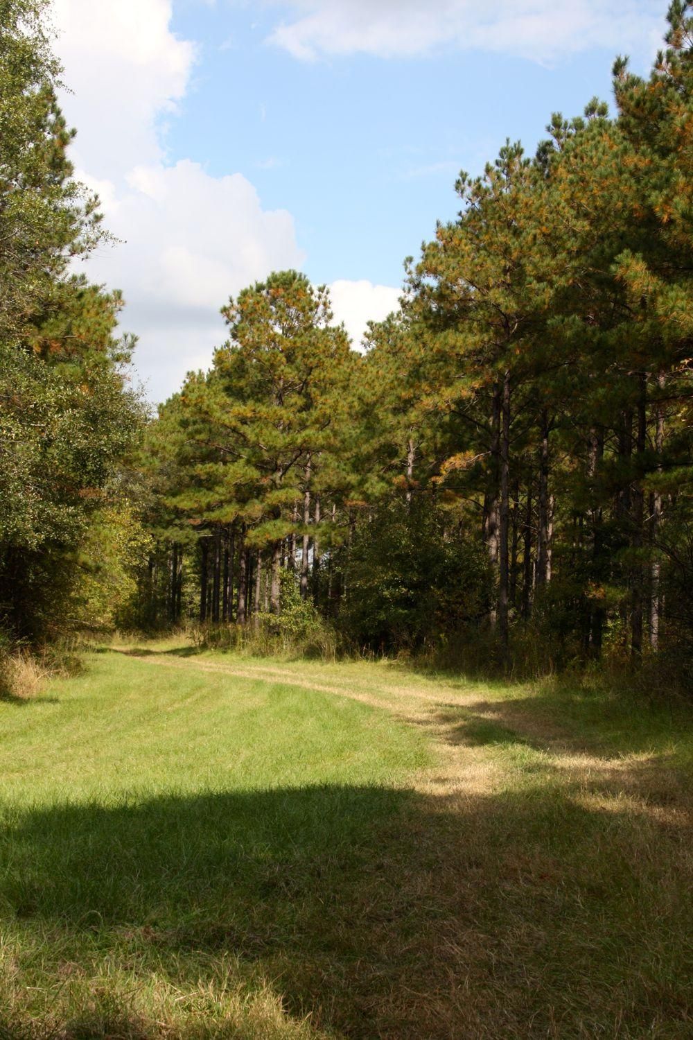 775 acres in Perry County, Alabama