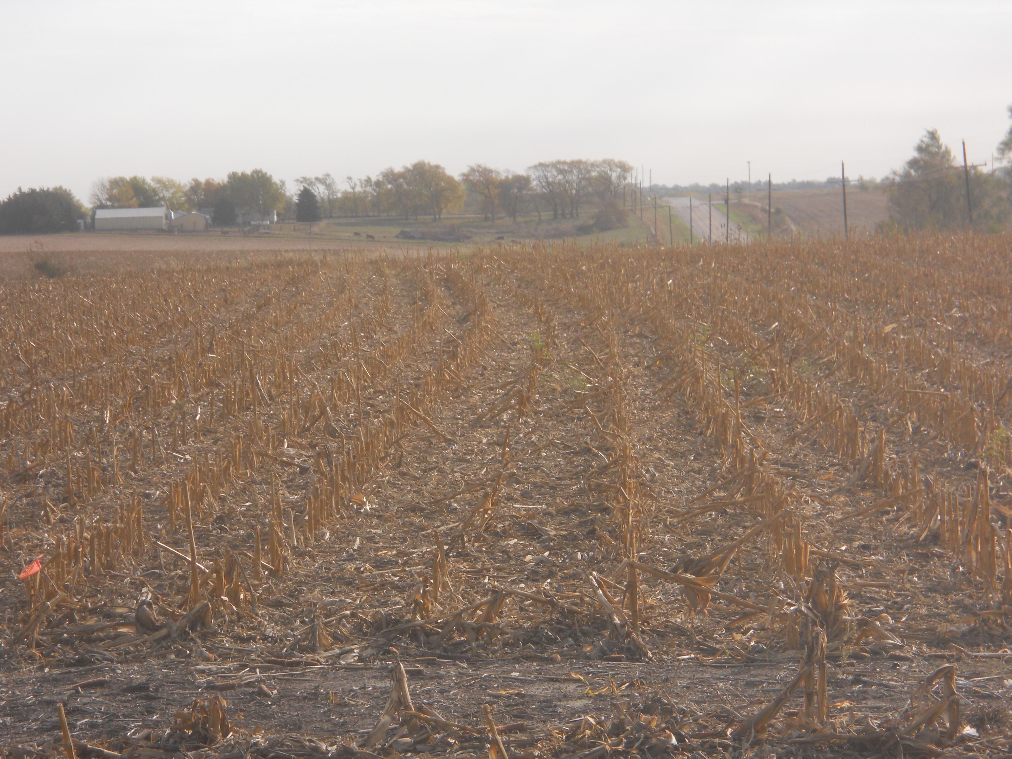 176th & Old Cheney, Walton, NE 68461