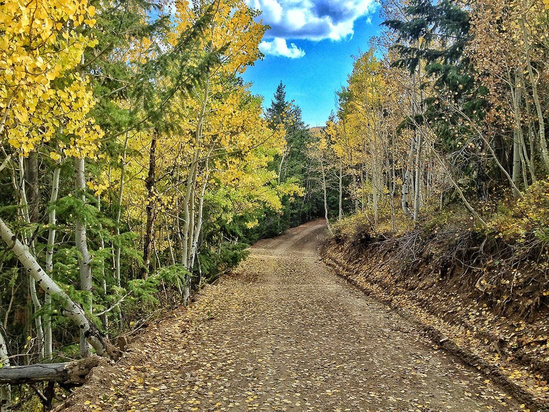 40 acres in Duchesne County, Utah