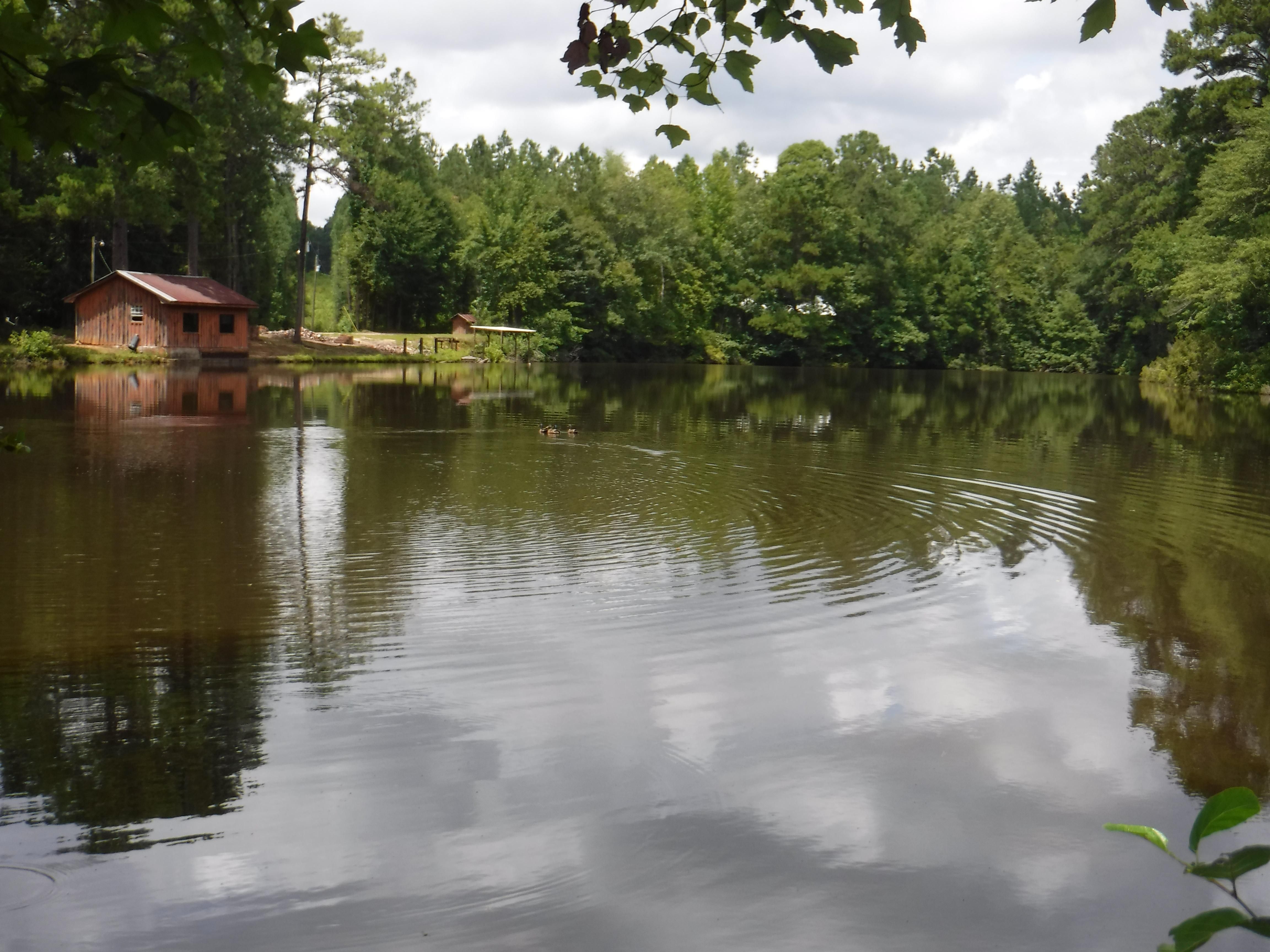 33 acres in Choctaw County, Alabama