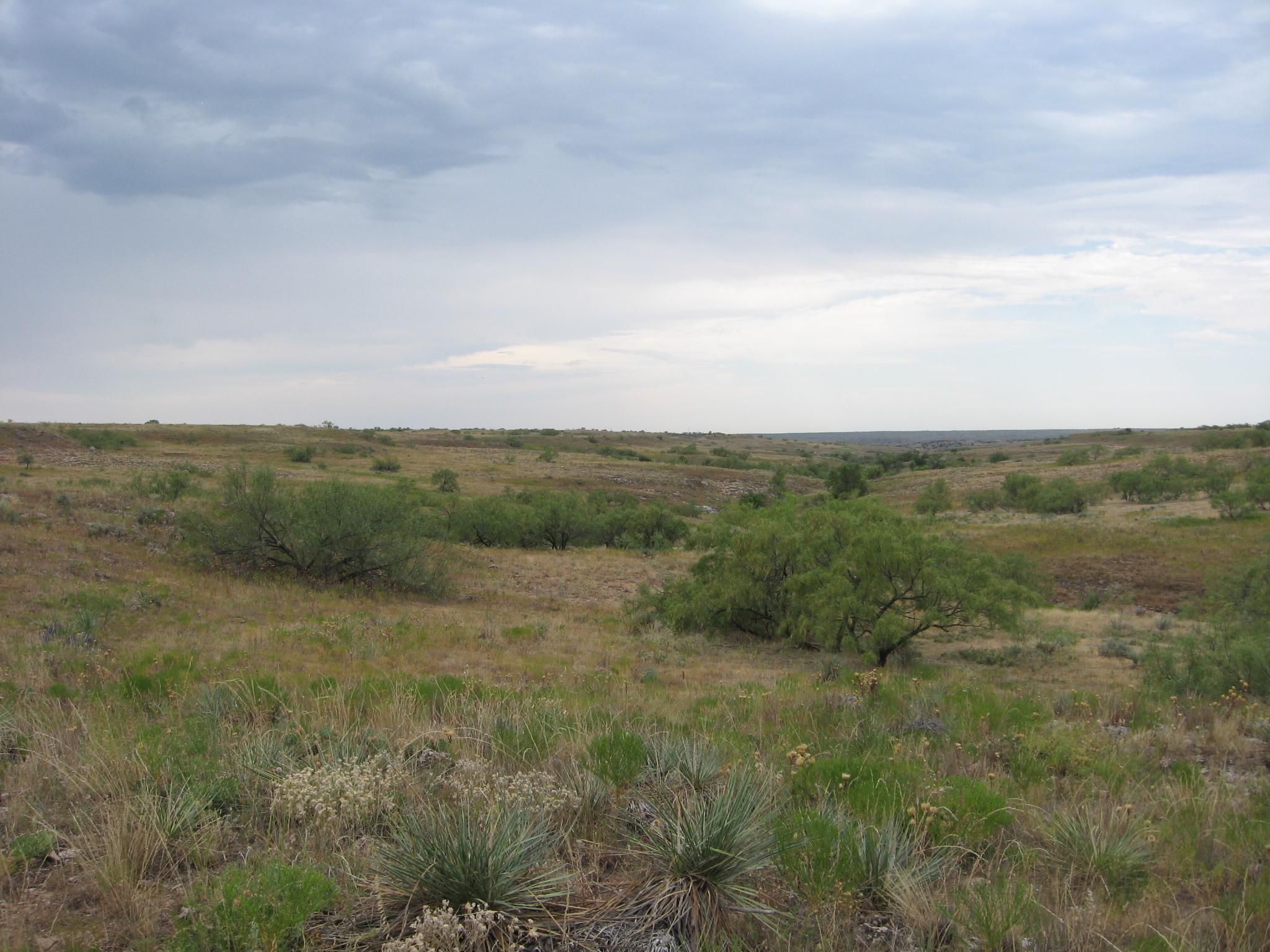 644 acres in Wheeler County, Texas