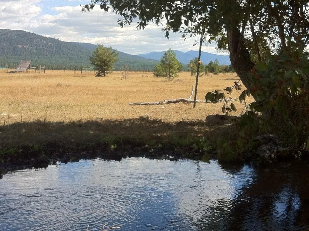40 acres in Missoula County, Montana