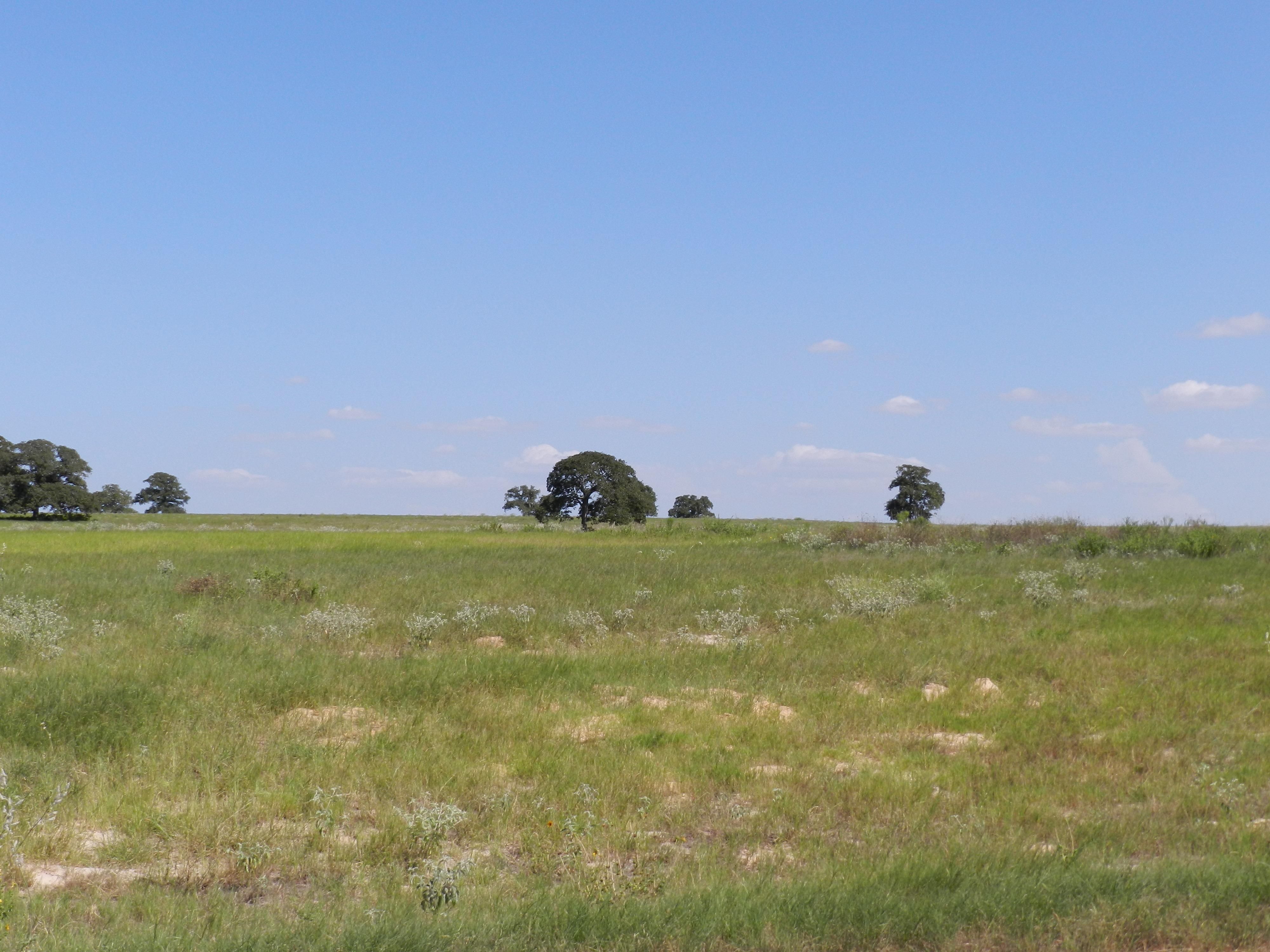 3.5 acres in Wilson County, Texas