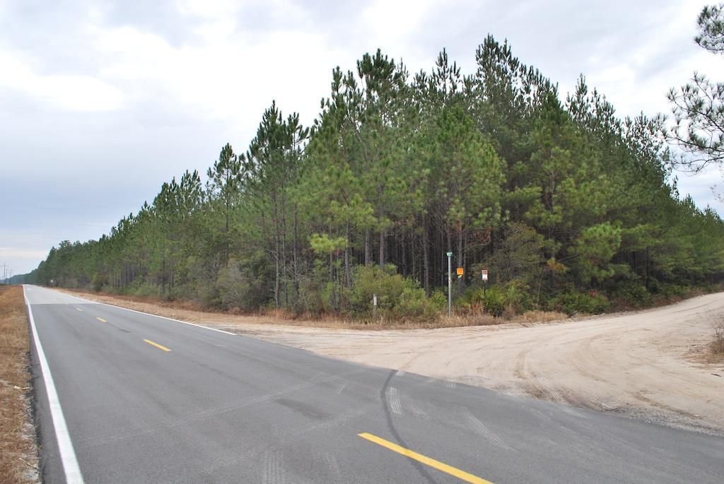 32 acres in Ware County,