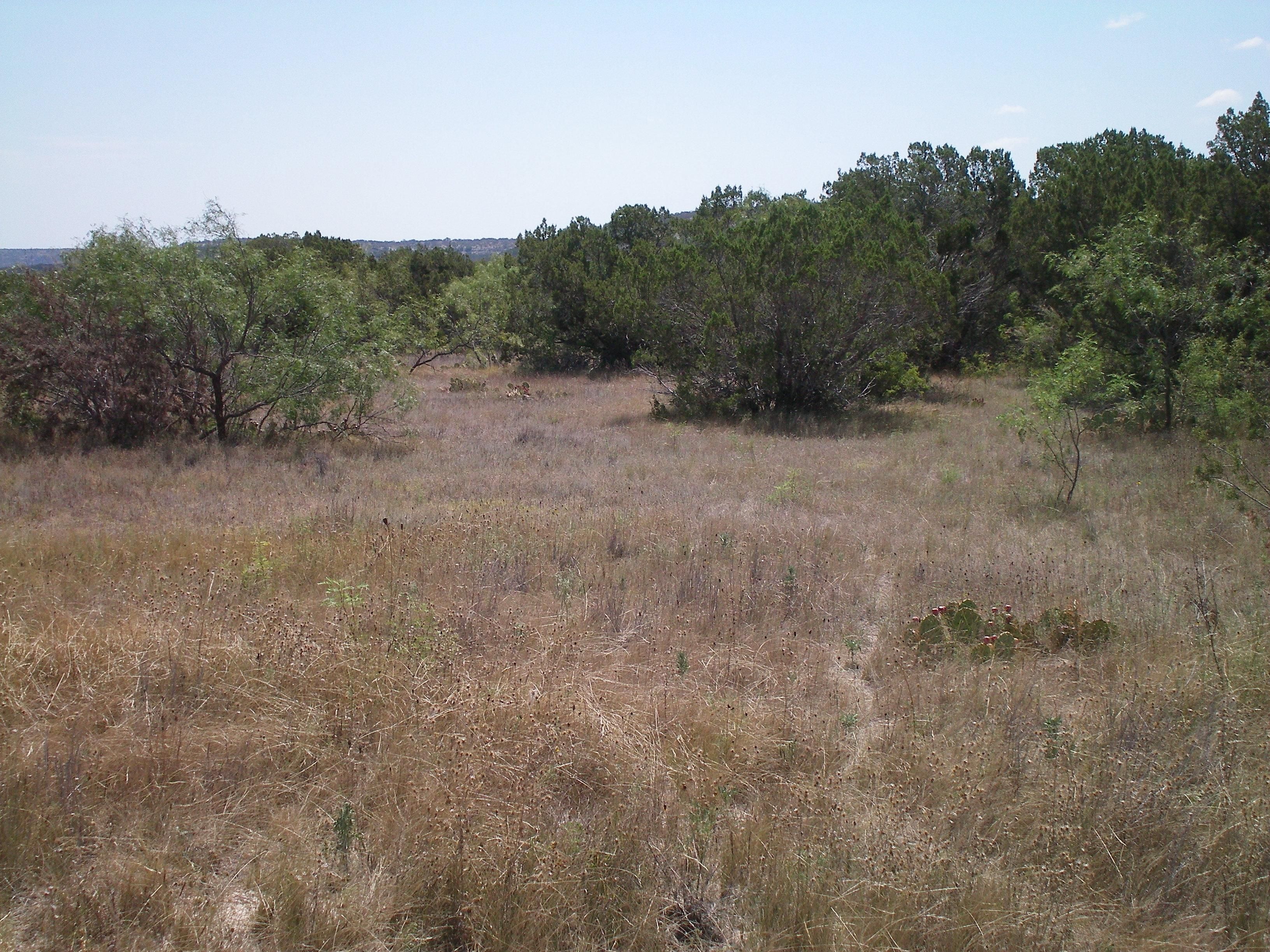 100 acres in Crockett County, Texas