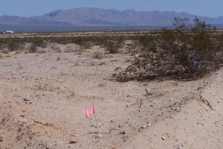 40 acres in San Bernardino County, California