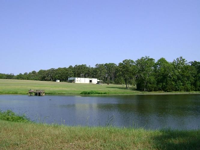 88.32 acres in Grimes County, Texas