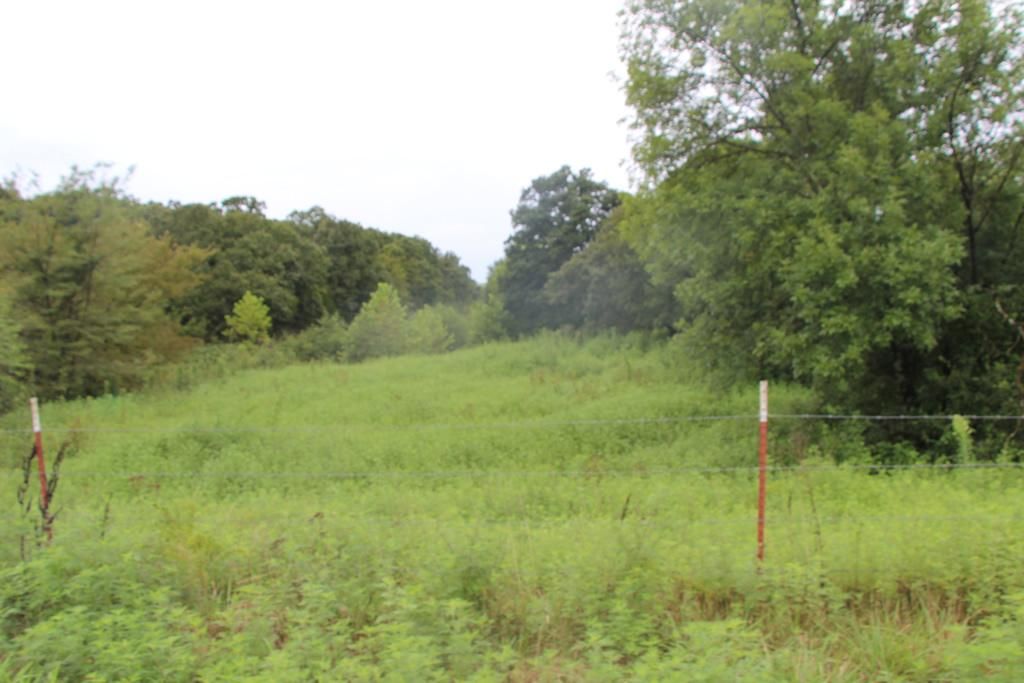 220 acres in Le Flore County, Oklahoma