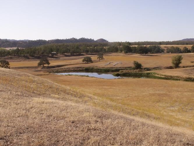 82 acres in Glenn County, California