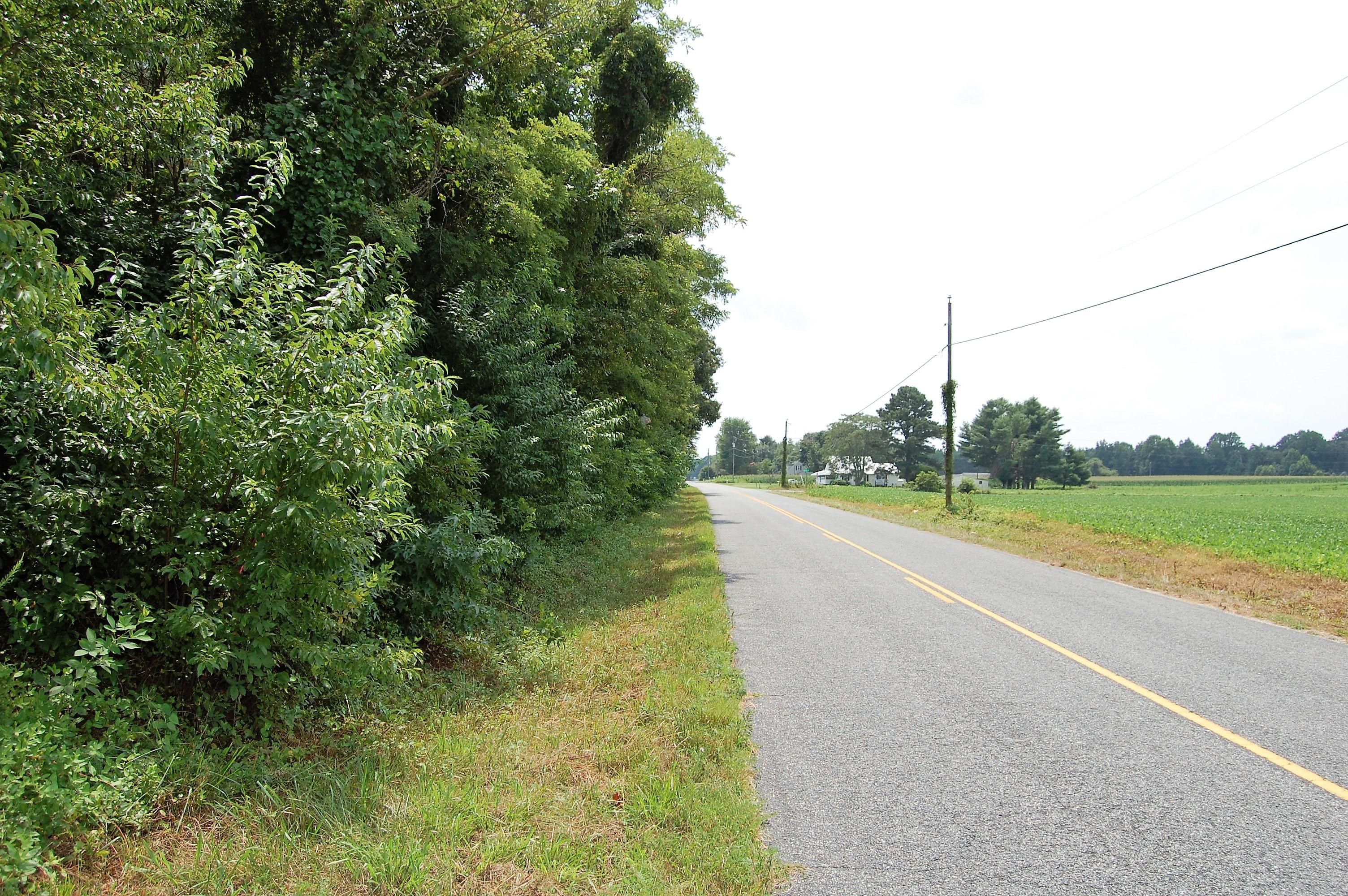 Lively Hope Road, Callao, VA 22435