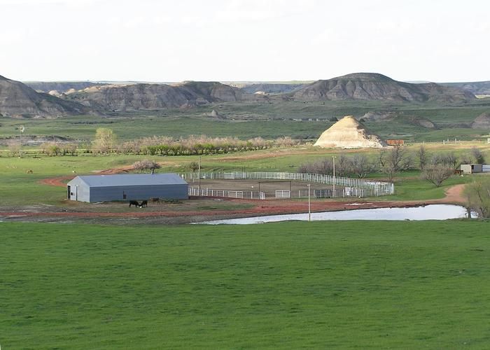 2,120 acres in Fallon County, Montana