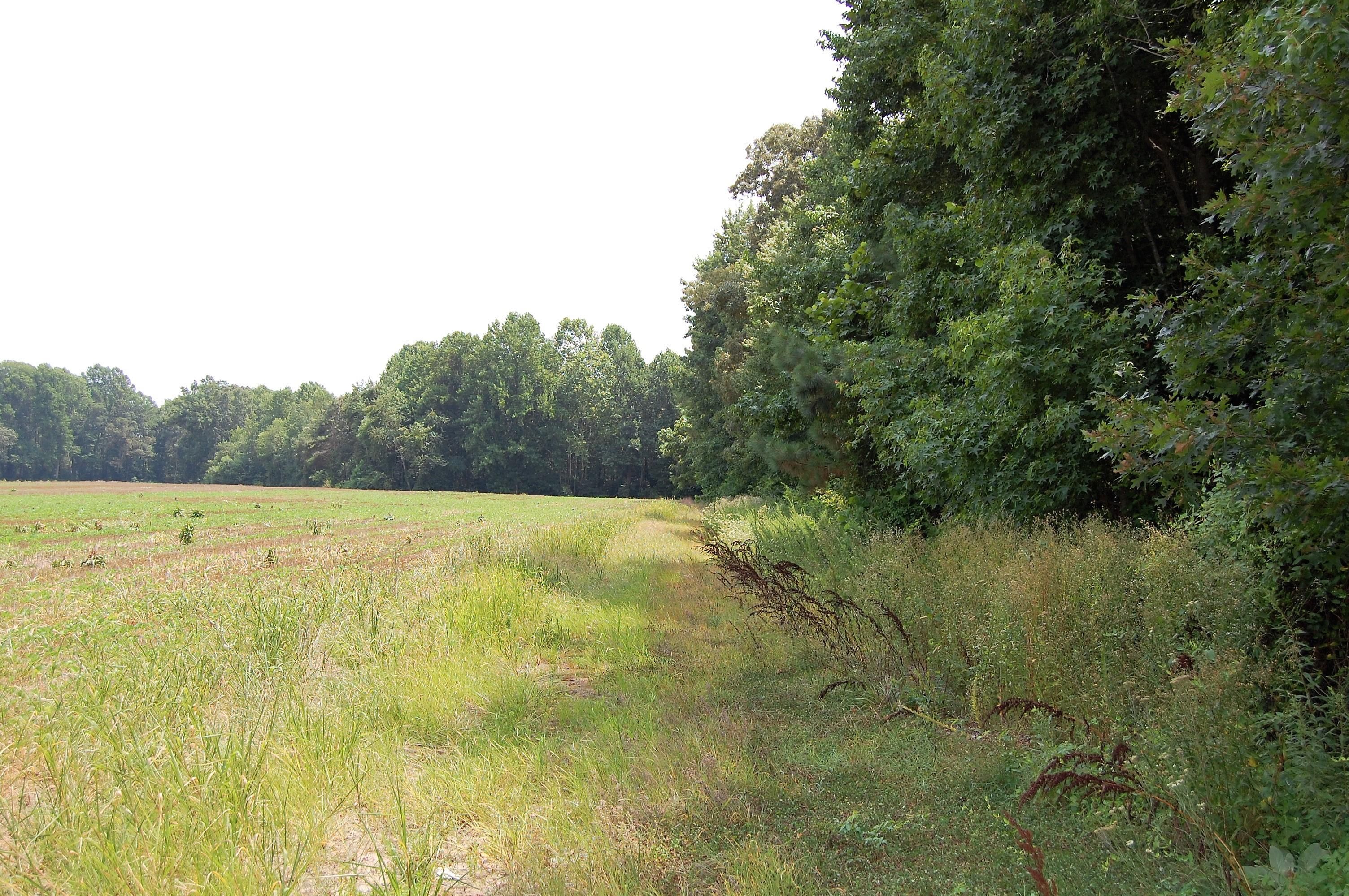 95.7 acres in Northumberland County, Virginia