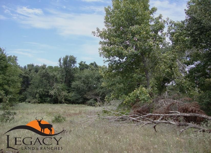 74 acres in Falls County, Texas