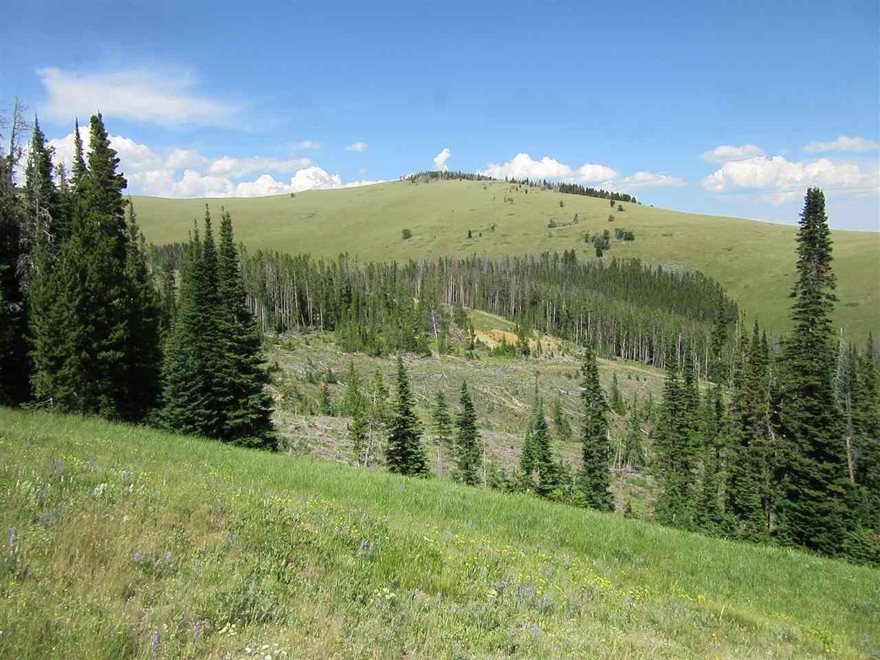 20 acres in Meagher County, Montana