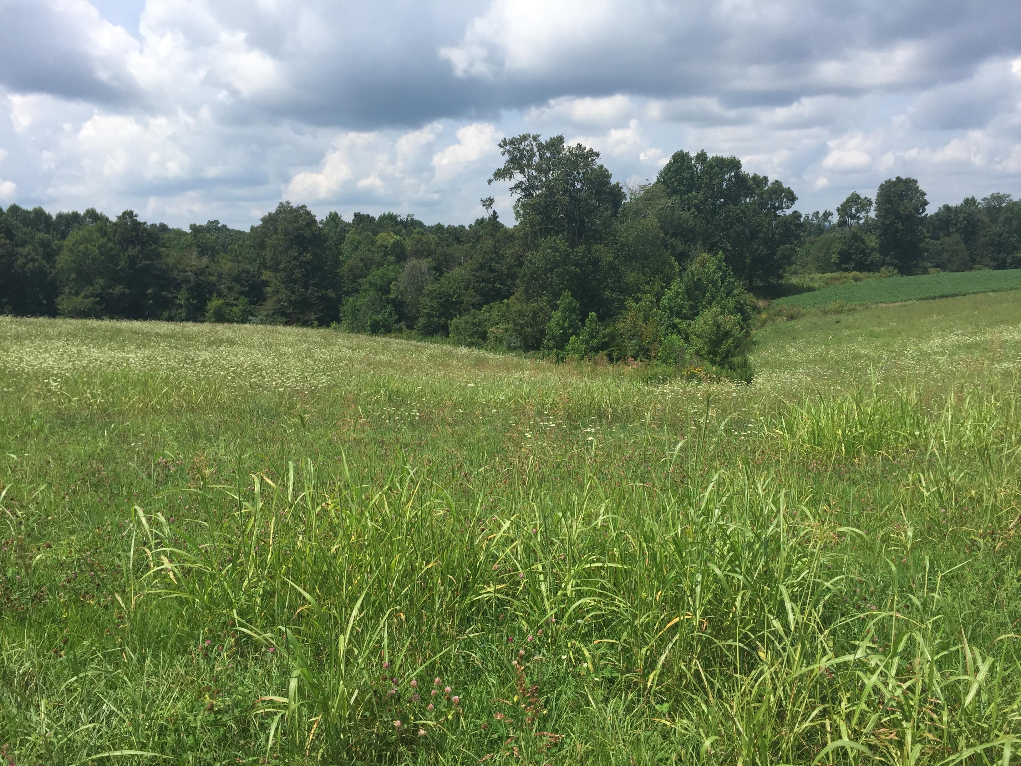 6.51 acres in Casey County, Kentucky