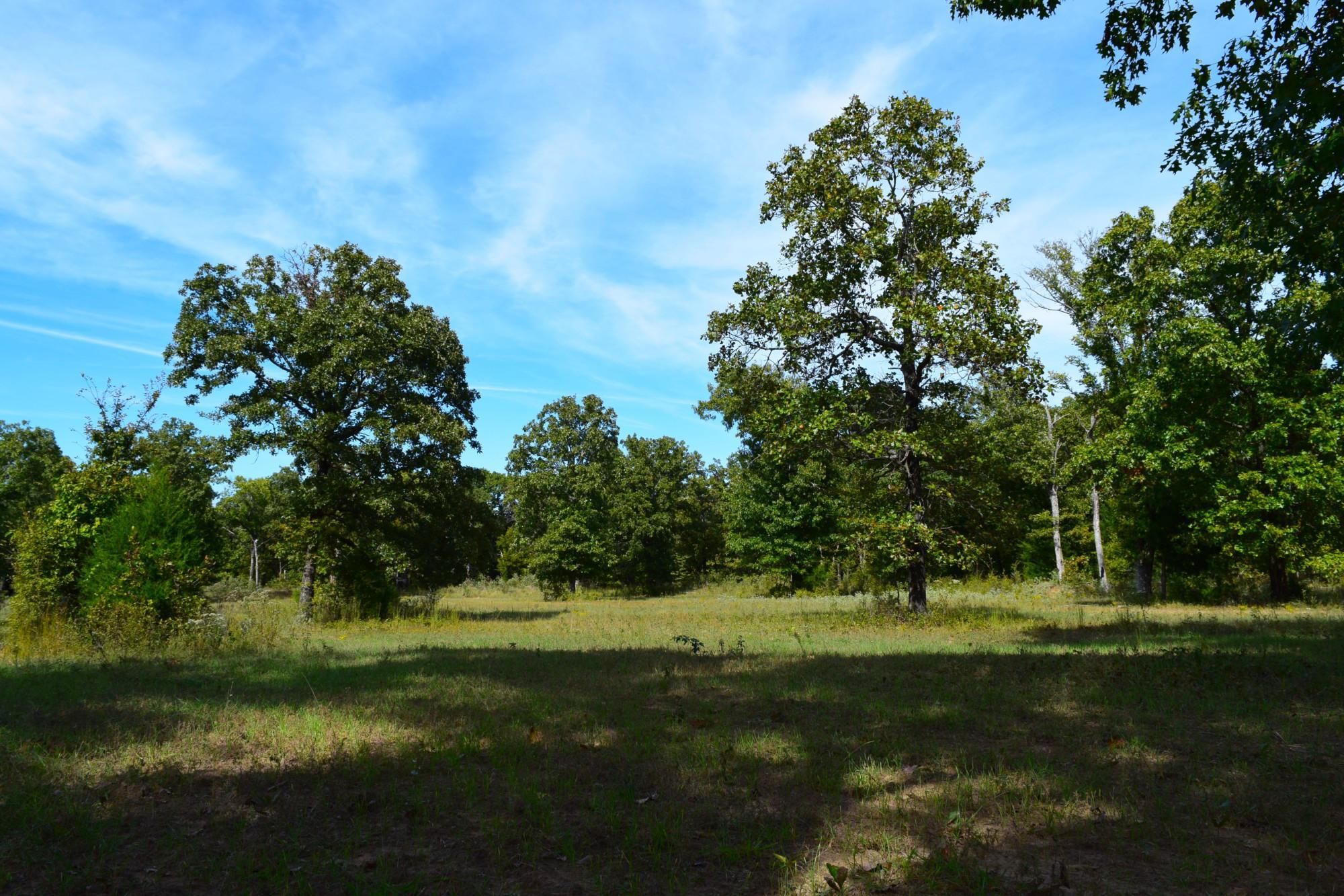 80 acres in Hughes County, Oklahoma
