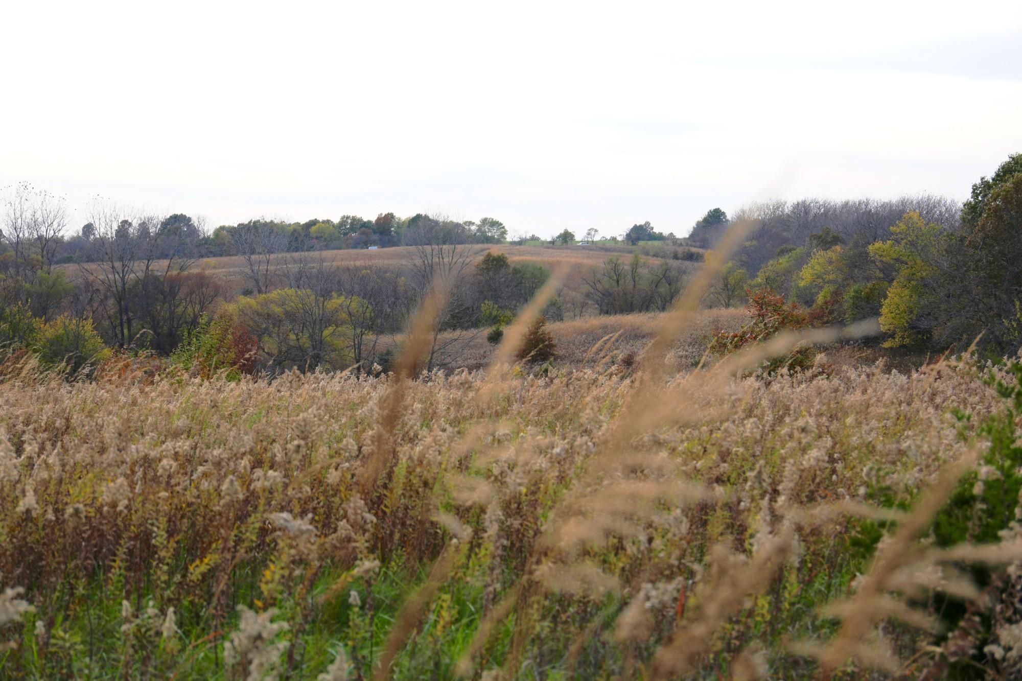 200 acres in Linn County, Missouri