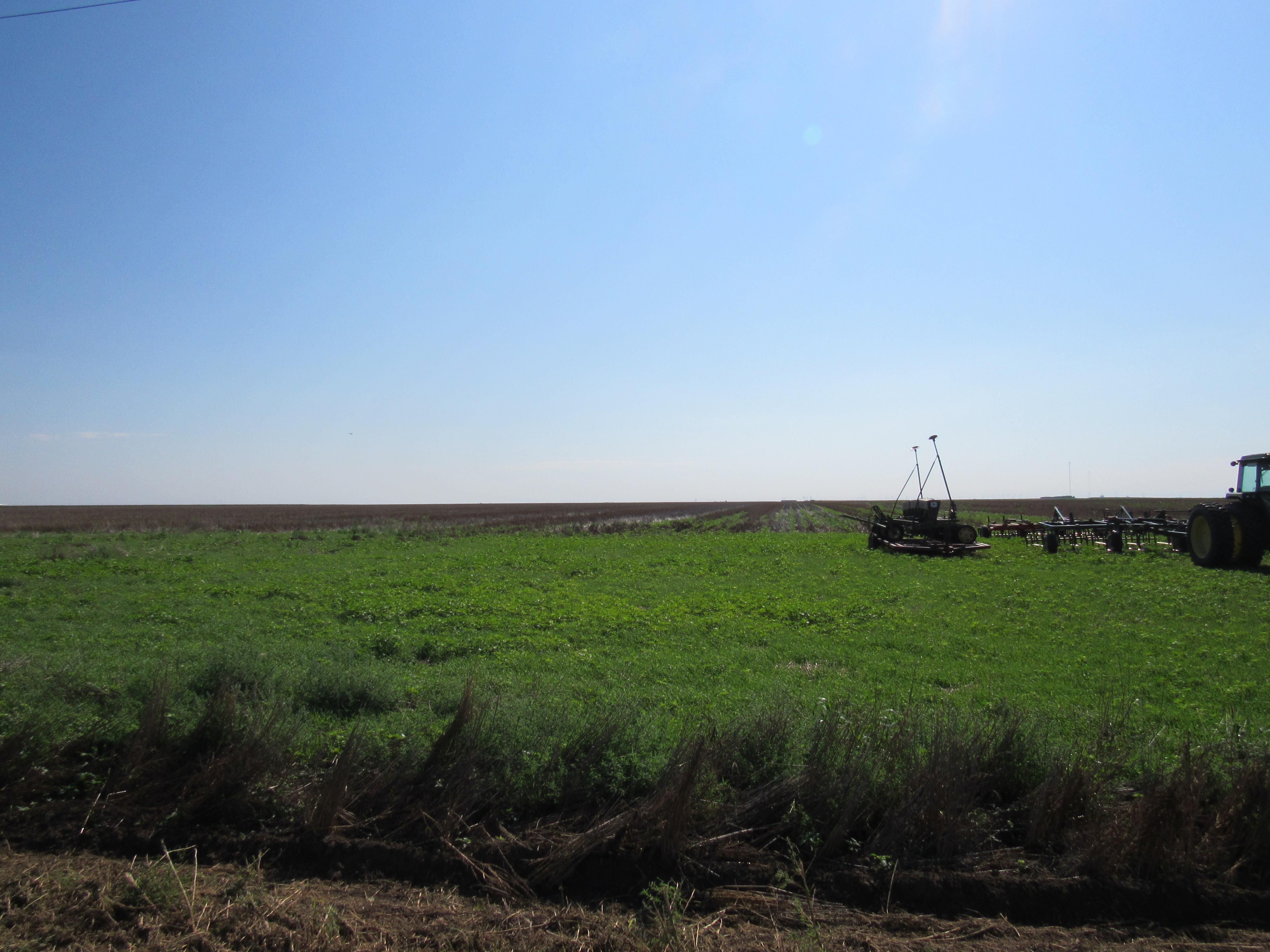 160 acres in Gray County, Kansas