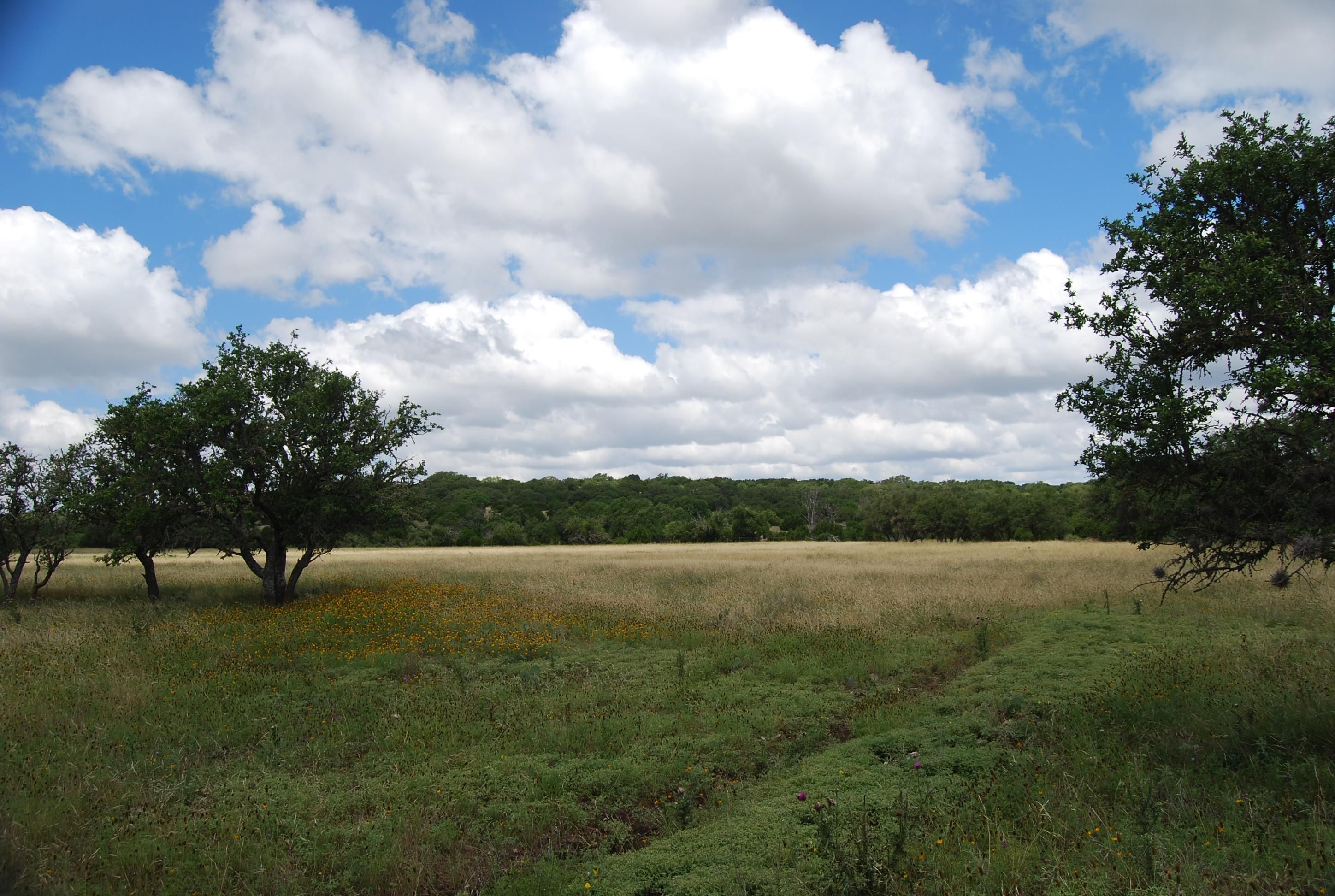 400 acres in Real County, Texas