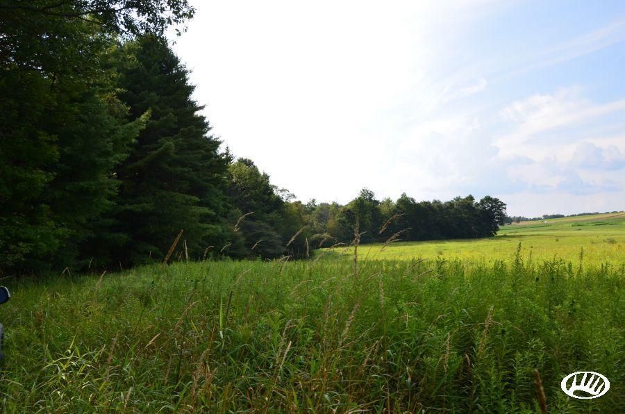 15 acres in Jefferson County, Pennsylvania