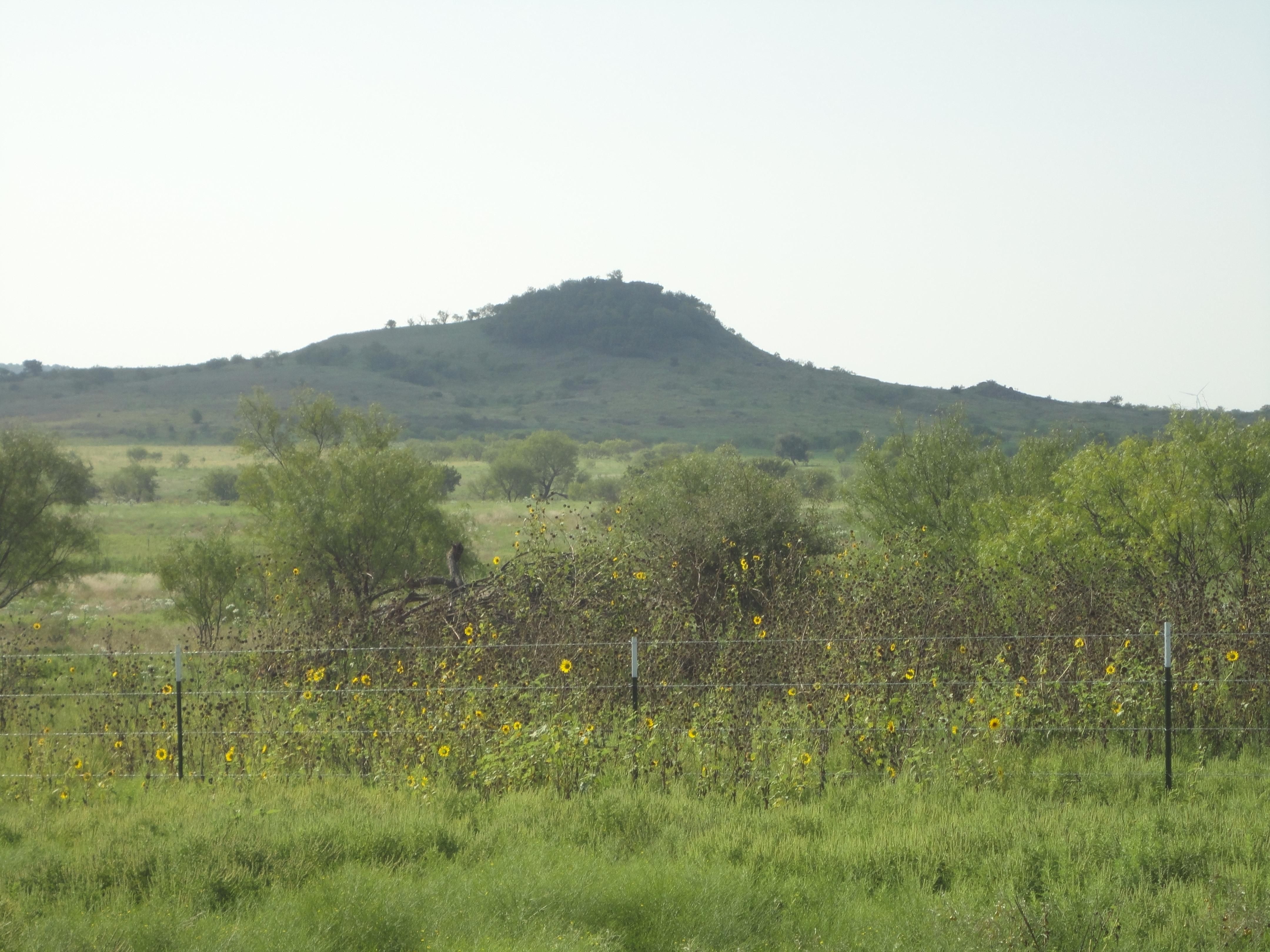 230 acres in Jack County, Texas