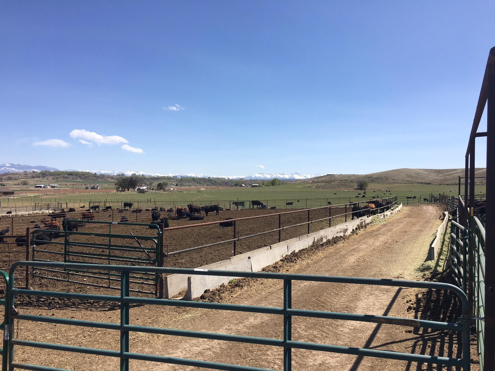 TBD Jasmine Road, Montrose, CO 81401 MLS 730792