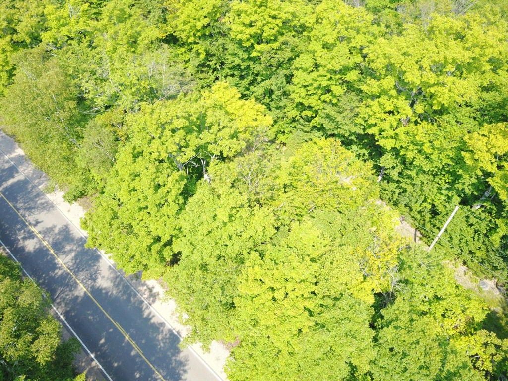 120 acres in Chippewa County, Michigan