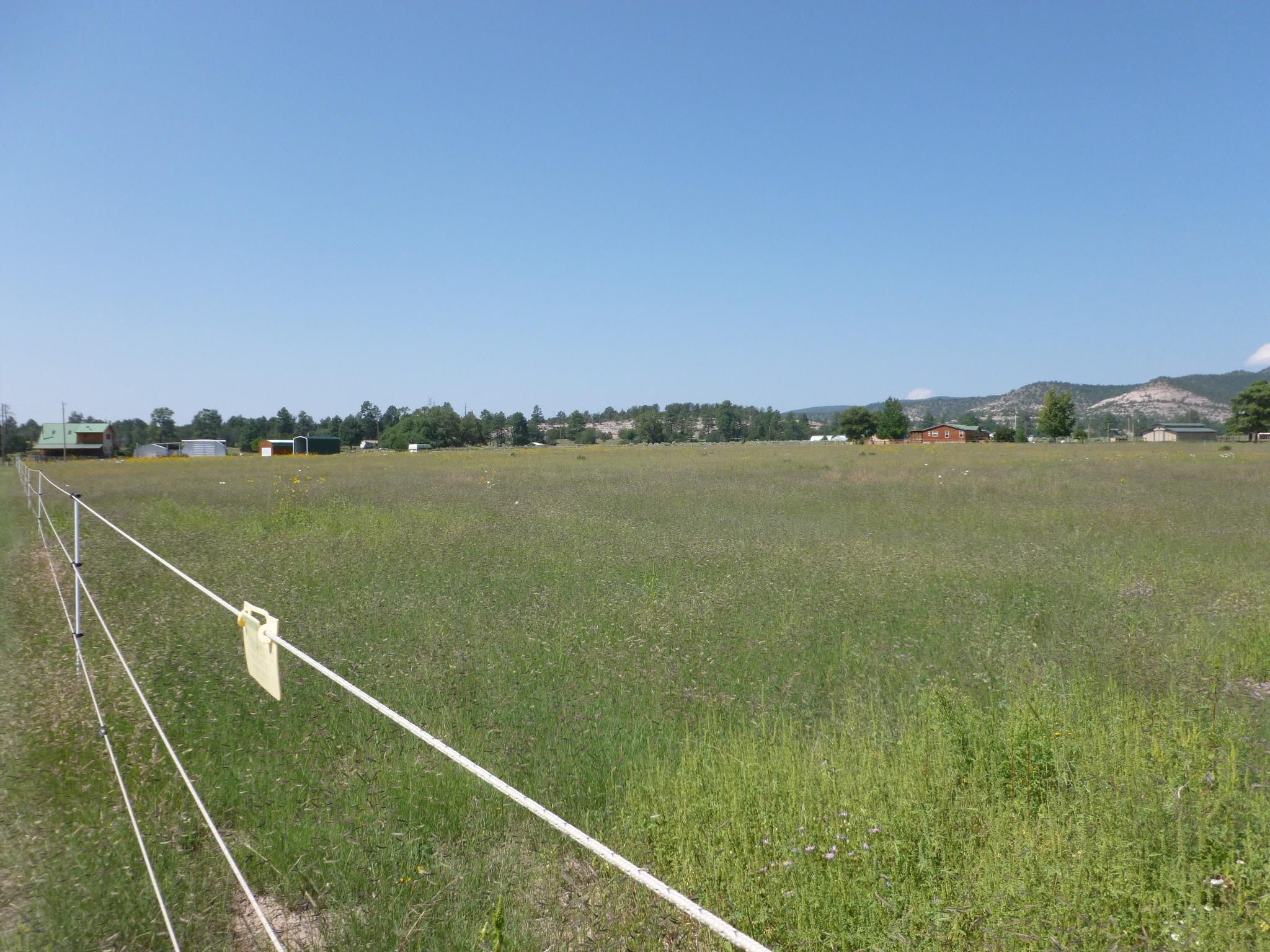 15.11 acres in Catron County, New Mexico