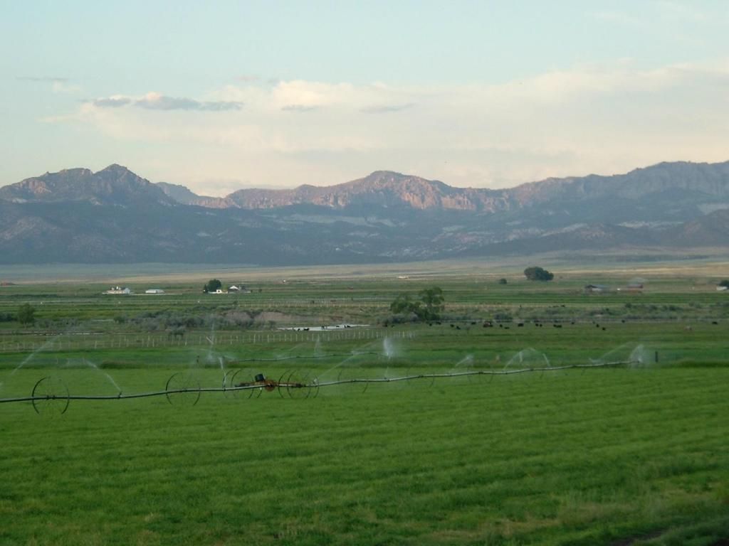 40 acres in Iron County, Utah