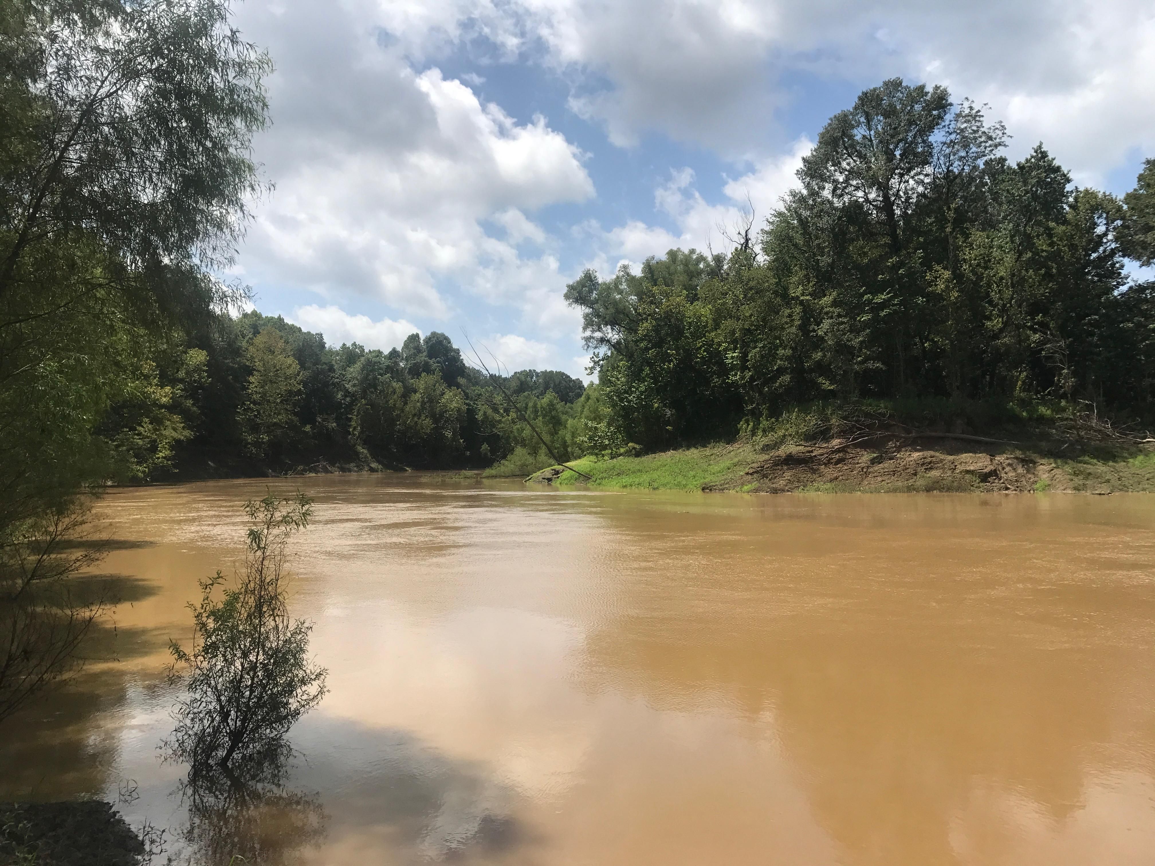 184 acres in Utica, MS, 39175