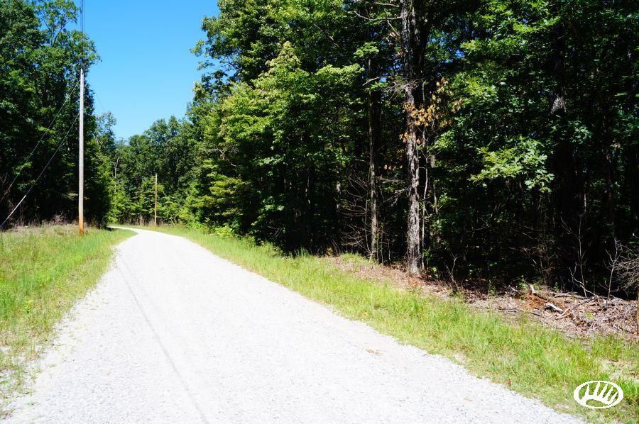 120 acres in Bledsoe County, Tennessee