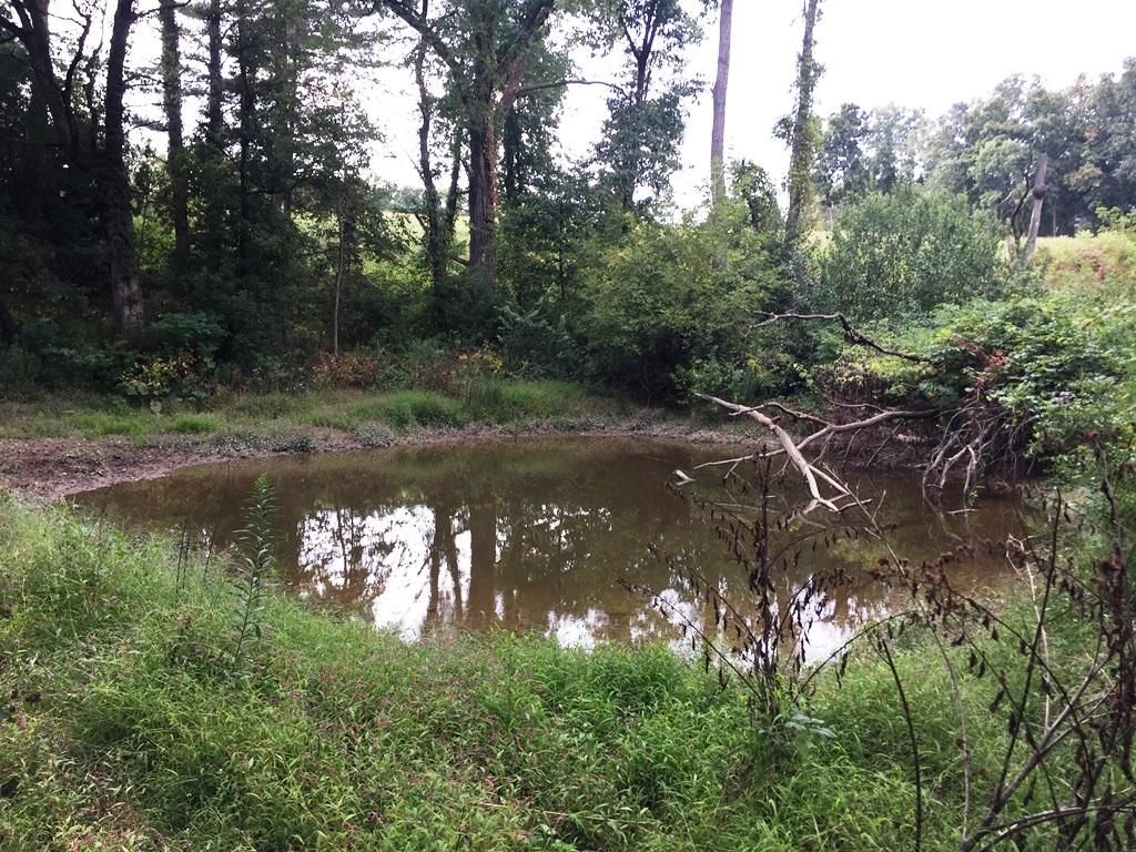 200 acres in Crawford County, Wisconsin