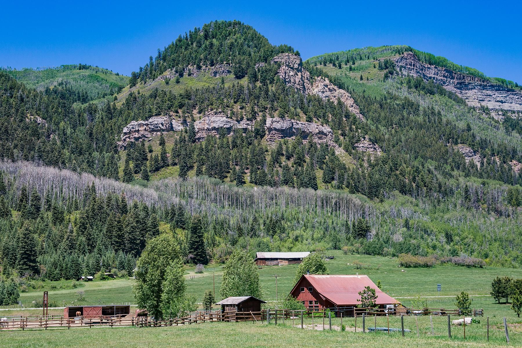 16.14 acres in La Plata County, Colorado