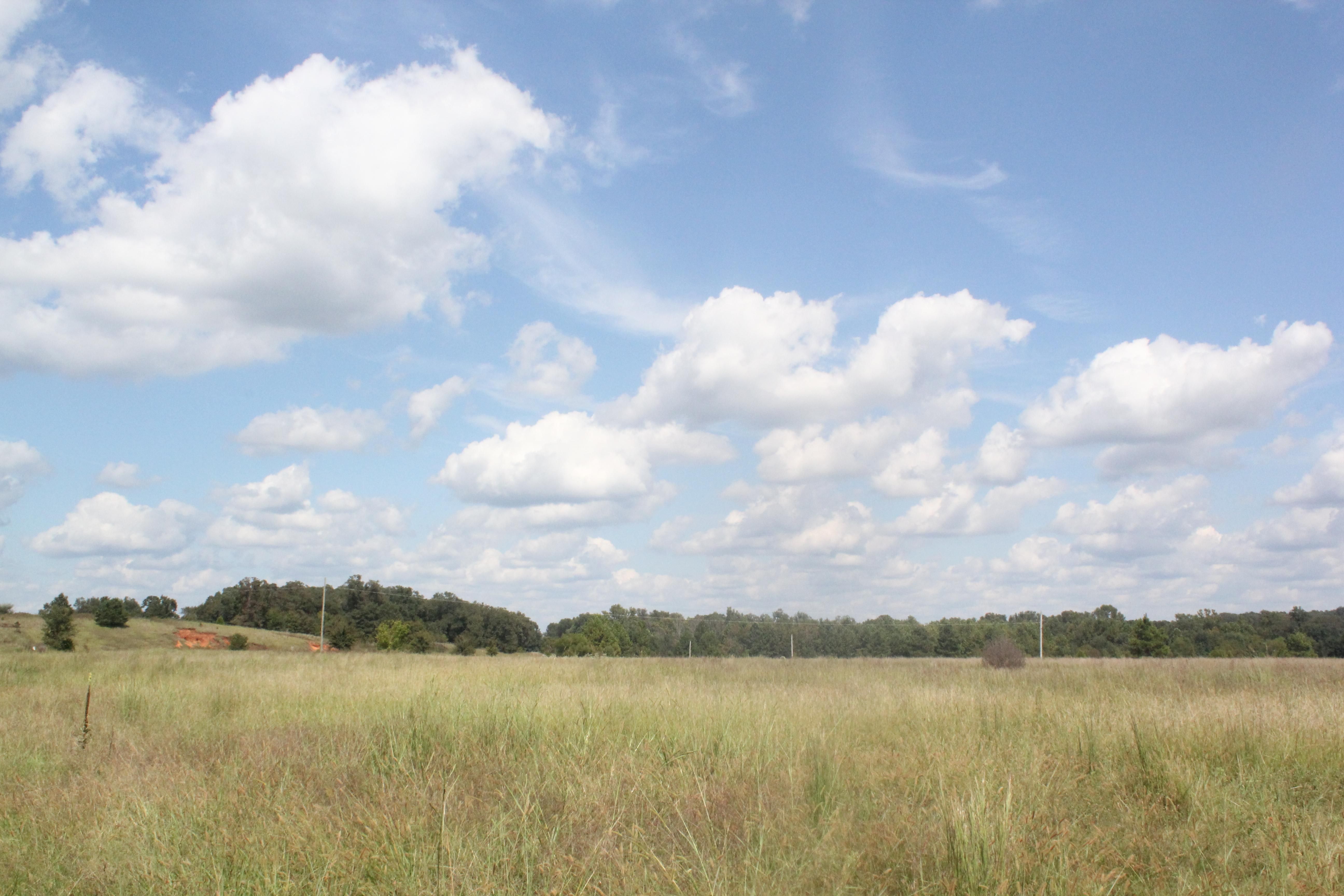 36 acres in Benton County, Mississippi