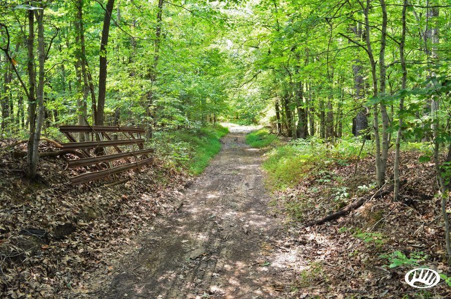 181 acres in Crittenden County, Kentucky