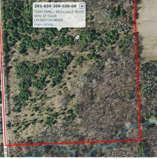 60 acres in Sanilac County, Michigan